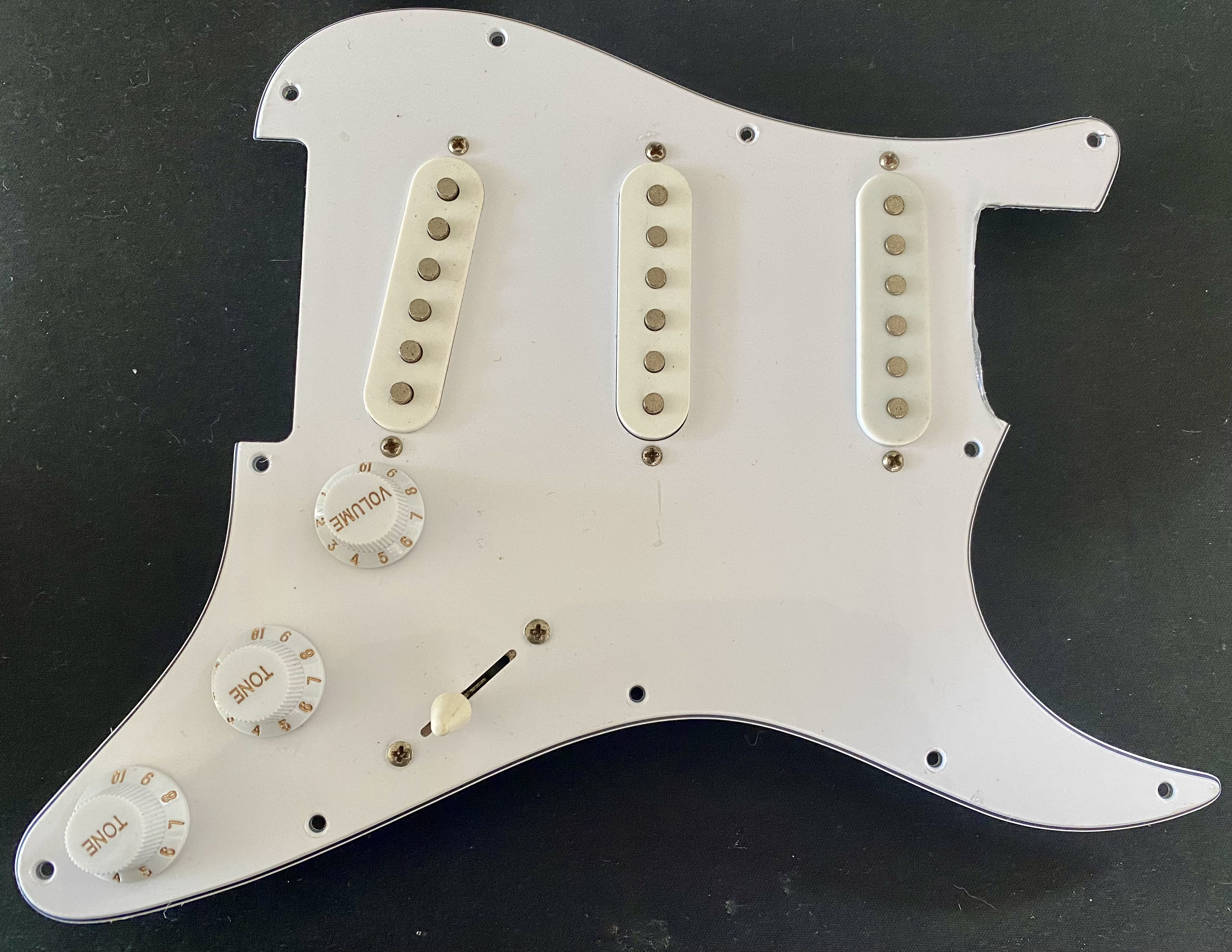 SE Squier Stratocaster Pickups on Scratchplate